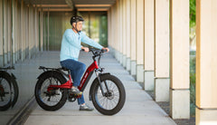 Beecool Bikes Bee Pathfinder Step-Thru Bee-Pathfinder-ST
