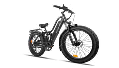 Beecool Bikes Bee Explorer Bee-Explorer