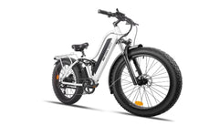 Beecool Bikes Bee Explorer Bee-Explorer