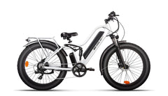 Beecool Bikes Bee Explorer Bee-Explorer