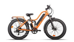 Beecool Bikes Bee Explorer Bee-Explorer