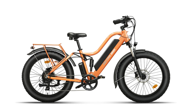 Beecool Bikes Bee Explorer Lite Bee-Explorer-24
