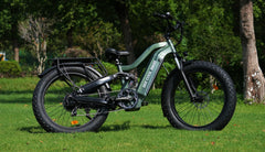 Beecool Bikes Bee Defender