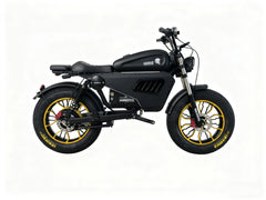 SoverSky Knight /Black Warrior Electric Fat Tire Bike