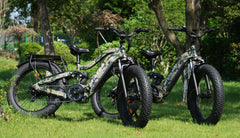 Beecool Bikes Bee Defender