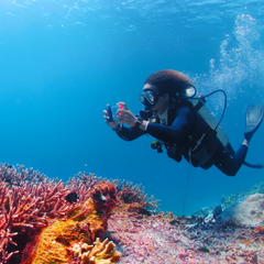 Sublue Underwater Scooter H1 Smart Waterproof Phone Case 659514468303