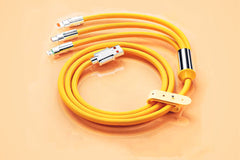 Beecool Bikes 3 in 1 Charging Cord, Universal Electric Bike Phone Charger, Multiple Charger Wires