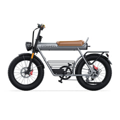COSWHEEL CT20 EBike