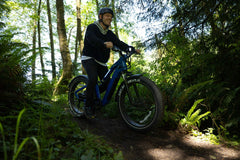 26' Step Over Electric Mountain Bike - Blue