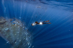 Sublue Underwater Scooter Navbow+