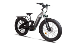 Beecool Bikes Bee Defender