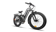Beecool Bikes Bee Explorer Bee-Explorer