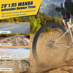29 Inch Wheels Single Speed  Mountain Bike, for Men Women Boys and Girls, Front Suspension,Steel Frame