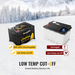 BougeRV 12V 1280Wh/100Ah LiFePO4 Battery