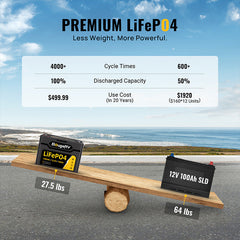 BougeRV 12V 1280Wh/100Ah LiFePO4 Battery