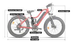 Beecool Bikes Bee Explorer Lite Bee-Explorer-24