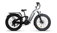 Beecool Bikes Bee Defender