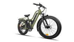 Beecool Bikes Bee Explorer Bee-Explorer