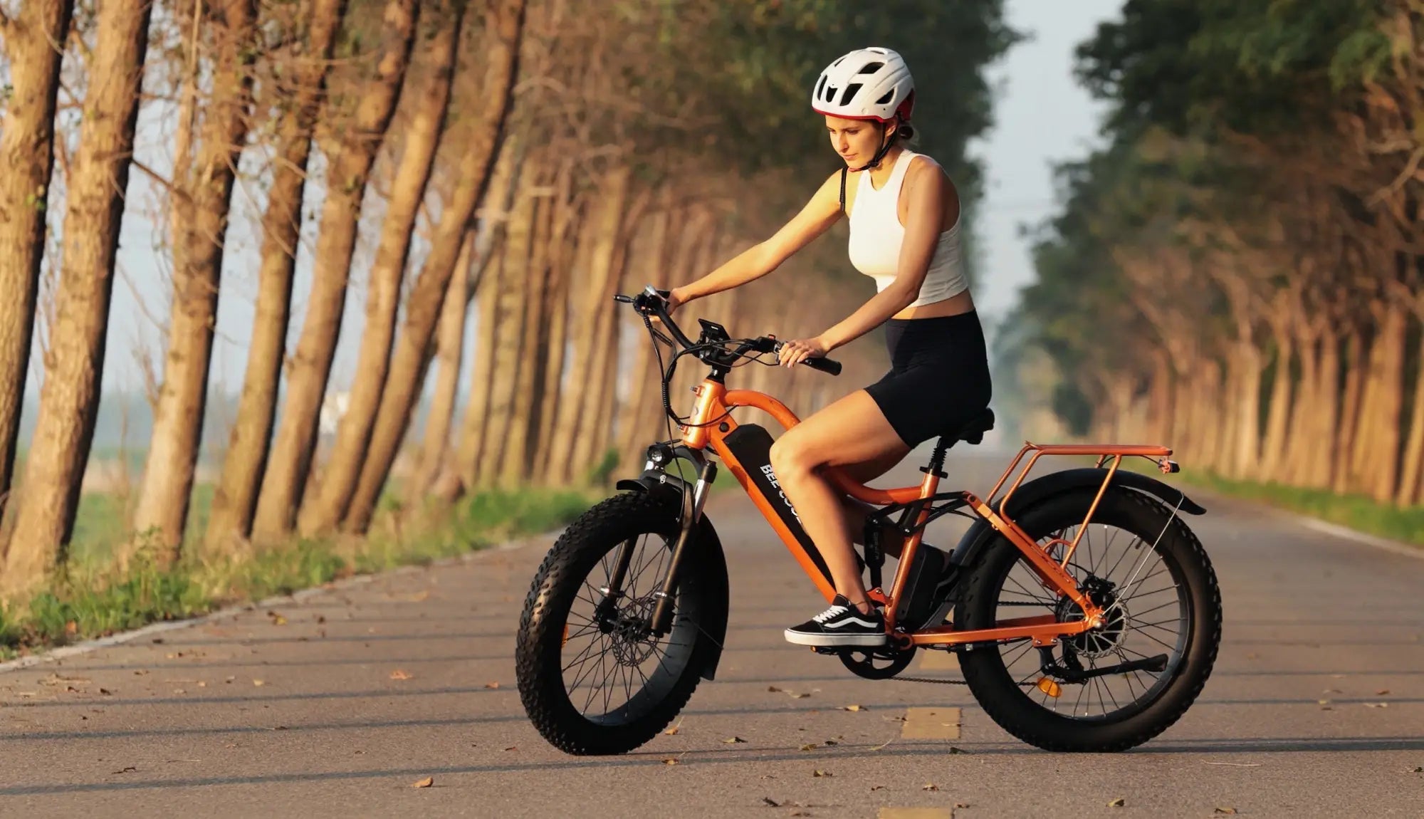 Beecool Bikes Bee Explorer Lite Bee-Explorer-24
