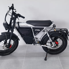 COSWHEEL Bag for COSWHEEL EBike