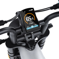COSWHEEL CT20S EBike
