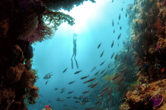 Sublue Underwater Scooter MixPro