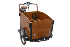 eMobilityStar Classic Electric Dutch Cargo Tricycle Bike 202207271