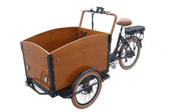 eMobilityStar Classic Electric Dutch Cargo Tricycle Bike 202207271