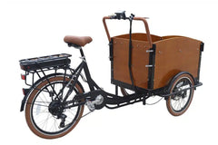 eMobilityStar Classic Electric Dutch Cargo Tricycle Bike 202207271