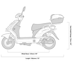 Emmo Hornet X.I