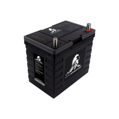 Lion Adventure BT Battery (12V, 100Ah, LiFePO4)