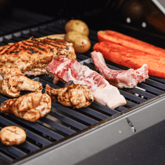 Monument Grills Mesa 220 | Black Foldable Propane Gas Grill M220+98888