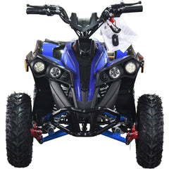 Full Battery 36V 1.0 kW Lead Acid ATV