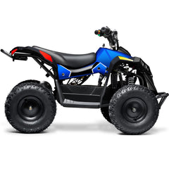Full Battery 36V 1.0 kW Lead Acid ATV