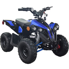 Full Battery 36V 1.0 kW Lead Acid ATV