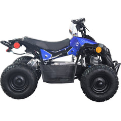 Full Battery 36V 1.0 kW Lead Acid ATV