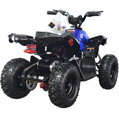 Full Battery 36V 1.0 kW Lead Acid ATV
