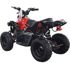Full Battery 36V 1.0 kW Lead Acid ATV