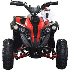 Full Battery 36V 1.0 kW Lead Acid ATV