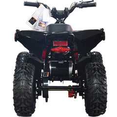 Full Battery 36V 1.0 kW Lead Acid ATV