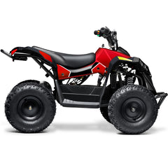 Full Battery 36V 1.0 kW Lead Acid ATV