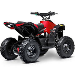 Full Battery 36V 1.0 kW Lead Acid ATV