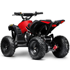 Full Battery 36V 1.0 kW Lead Acid ATV