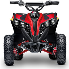 Full Battery 36V 1.0 kW Lead Acid ATV