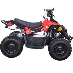 Full Battery 36V 1.0 kW Lead Acid ATV