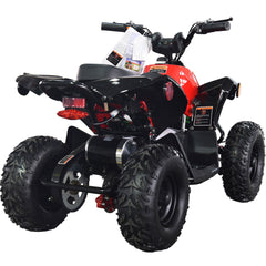 Full Battery 36V 1.0 kW Lead Acid ATV
