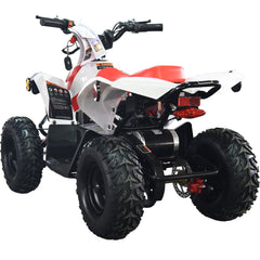 Full Battery 36V 1.0 kW Lead Acid ATV