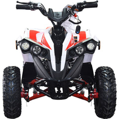 Full Battery 36V 1.0 kW Lead Acid ATV