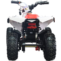 Full Battery 36V 1.0 kW Lead Acid ATV