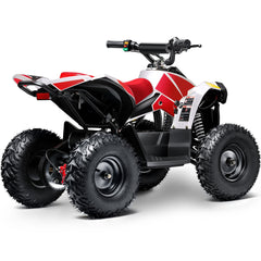 Full Battery 36V 1.0 kW Lead Acid ATV